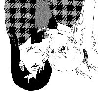 [90.66 KB / : 384] 