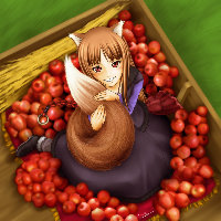 [386.42 KB / : 9]   