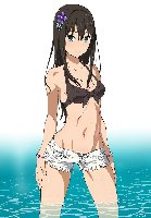 [106.68 KB / : 106]  