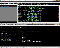 [46.86 KB / : 1694] 