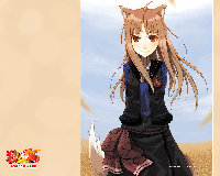 [268.22 KB / : 64]  