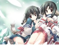 [43.38 KB / : 232] 